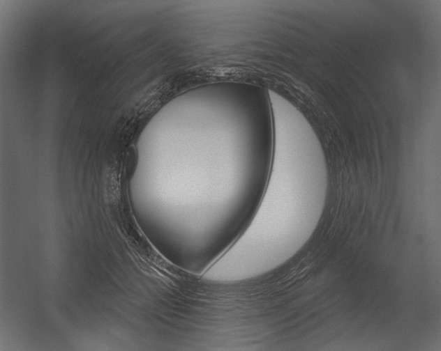 X0000054420558200507290929