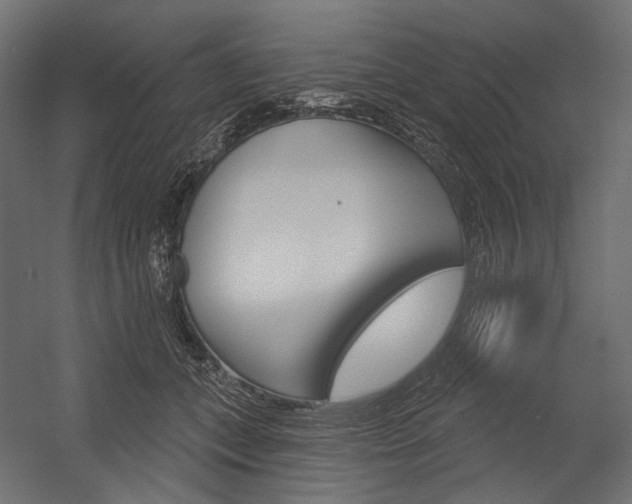 X0000054420559200507290929