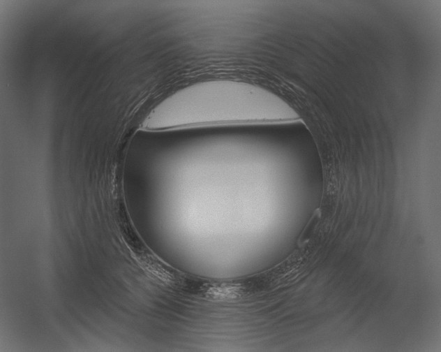 X0000054420560200507290929