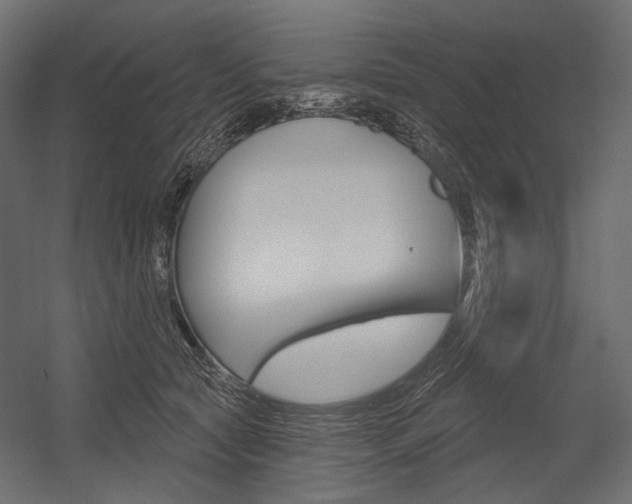 X0000054420561200507290929