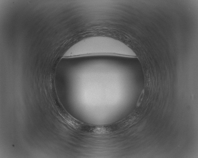 X0000054420562200507290929
