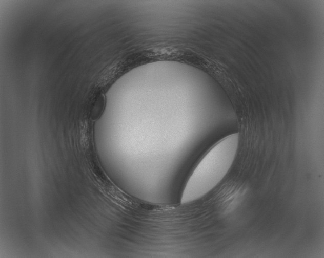 X0000054420563200507290929