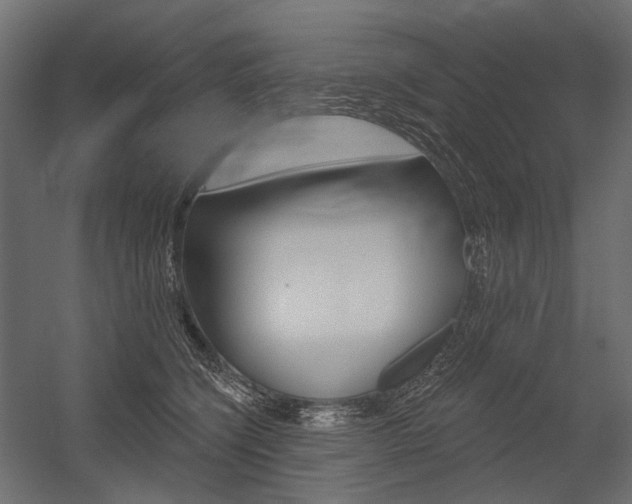 X0000054420564200507290929