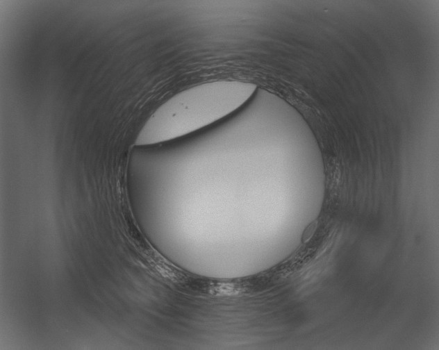 X0000054420565200507290929