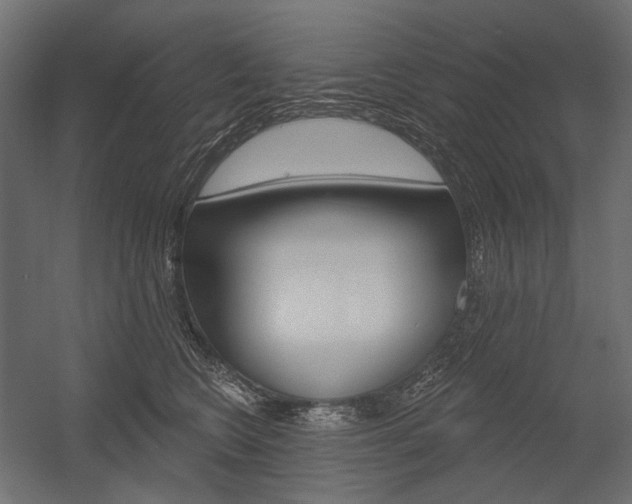 X0000054420566200507290929