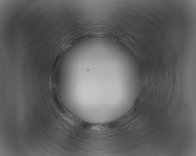 X0000054420568200507290929