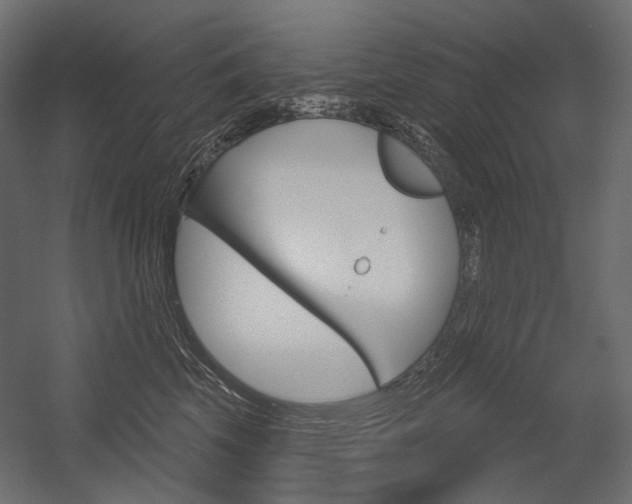 X0000054420569200507290929
