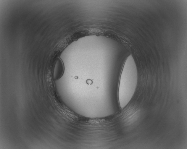 X0000054420571200507290929