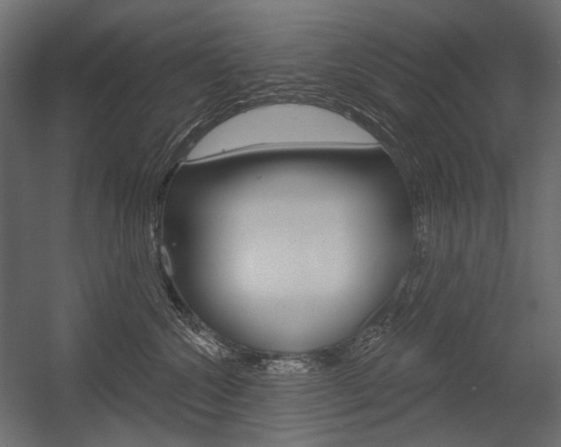X0000054420572200507290929