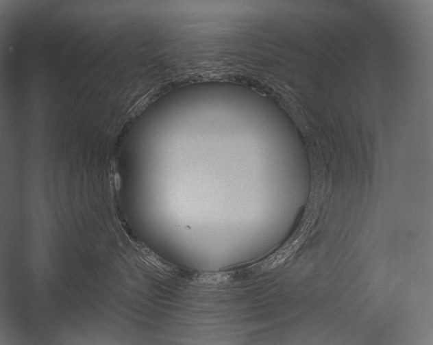 X0000054420576200507290929