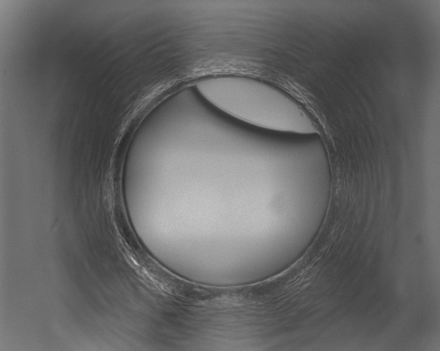 X0000054420578200507290928