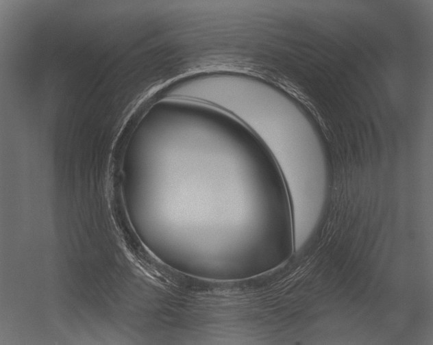 X0000054420580200507290928