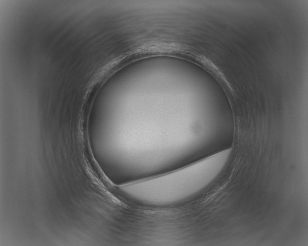 X0000054420581200507290928