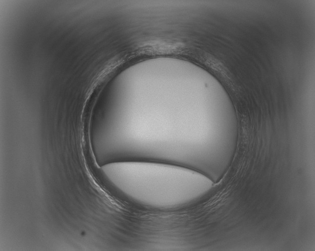 X0000054420582200507290928