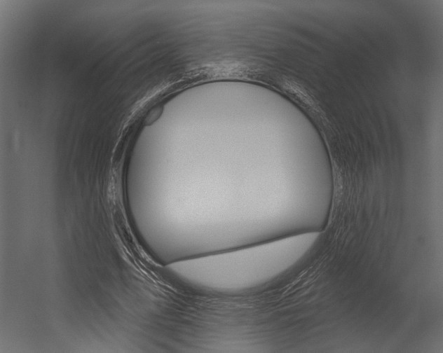 X0000054420583200507290928
