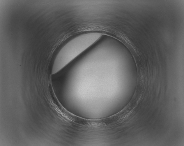 X0000054420585200507290928