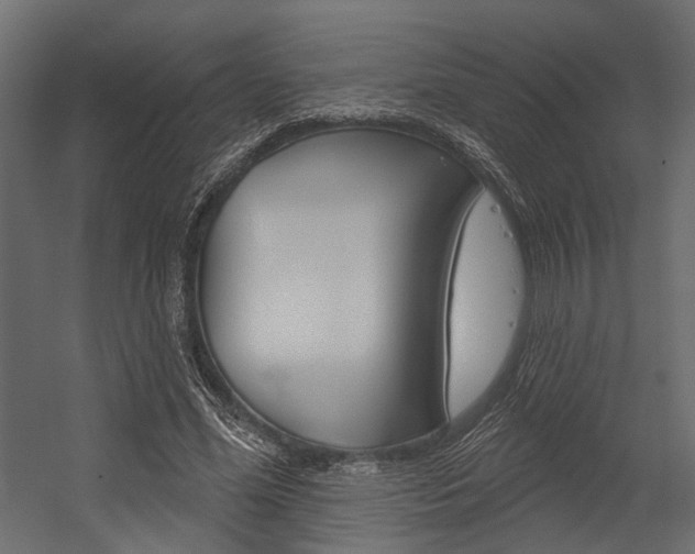 X0000054420588200507290928