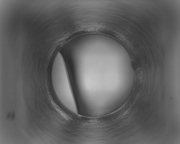 X0000054420589200507290928