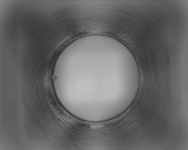 X0000054420591200507290928