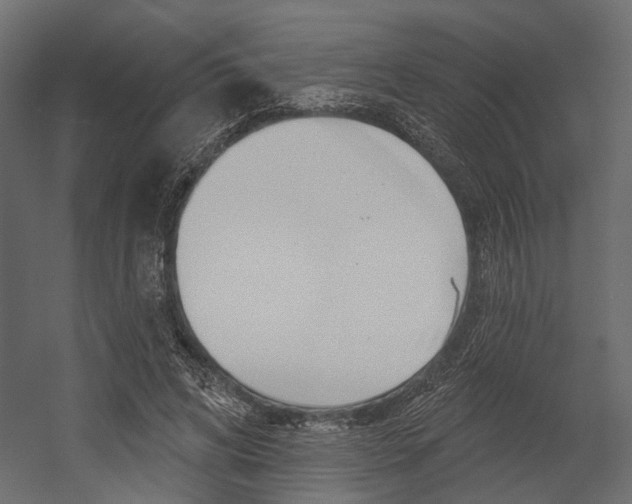 X0000054420592200507290928