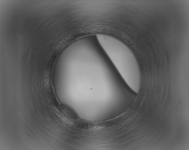 X0000054420593200507290928