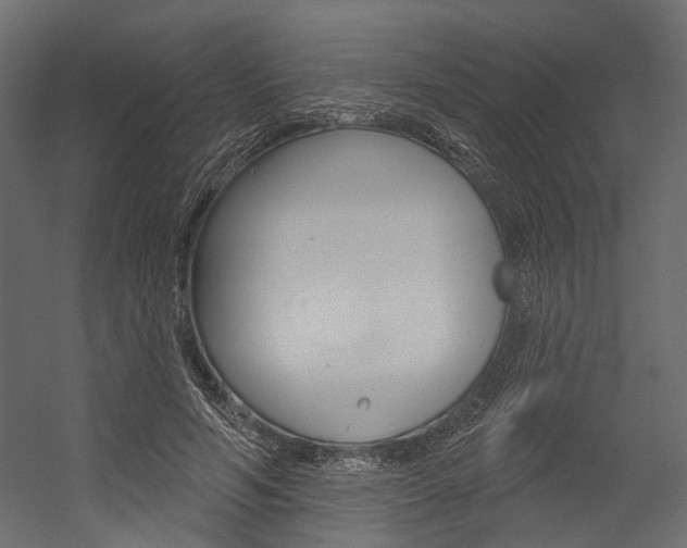 X0000054420594200507290928
