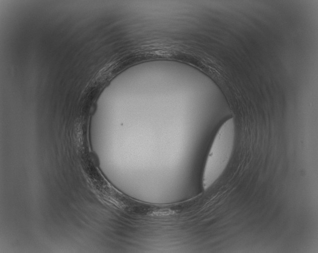X0000054420595200507290928
