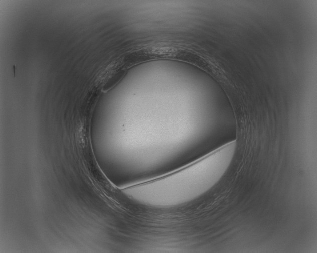 X0000054420597200507290928