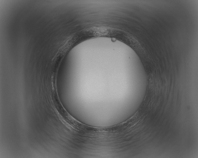 X0000054420598200507290928