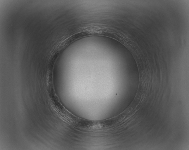 X0000054420600200507290928