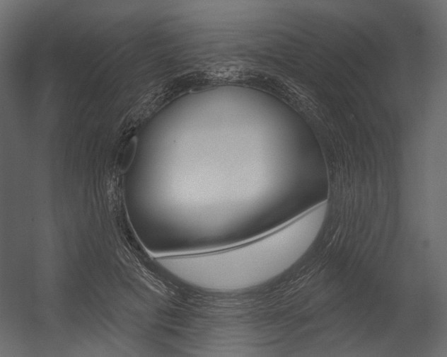 X0000054420601200507290928