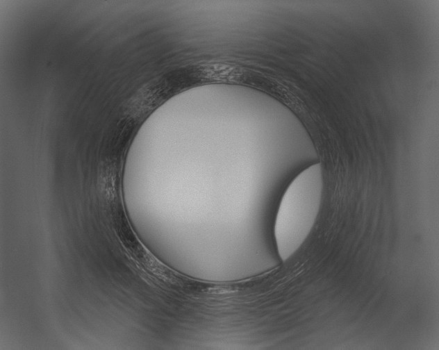X0000054420602200507290928