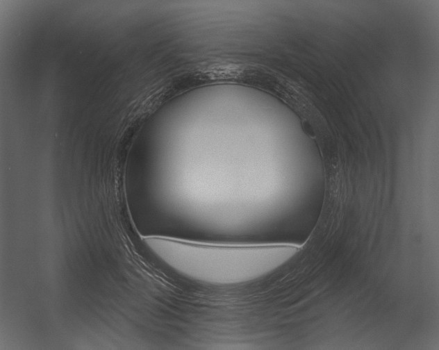 X0000054420604200507290928