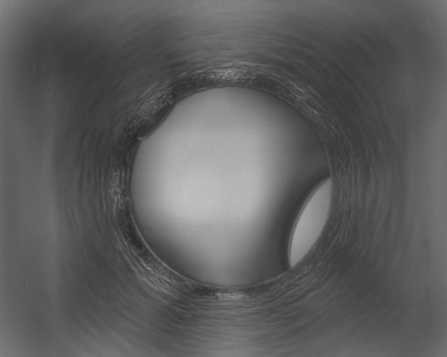 X0000054420605200507290928