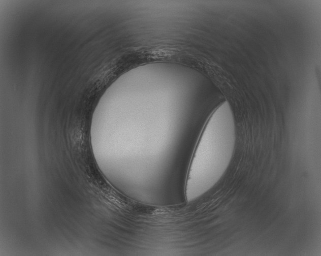X0000054420608200507290928