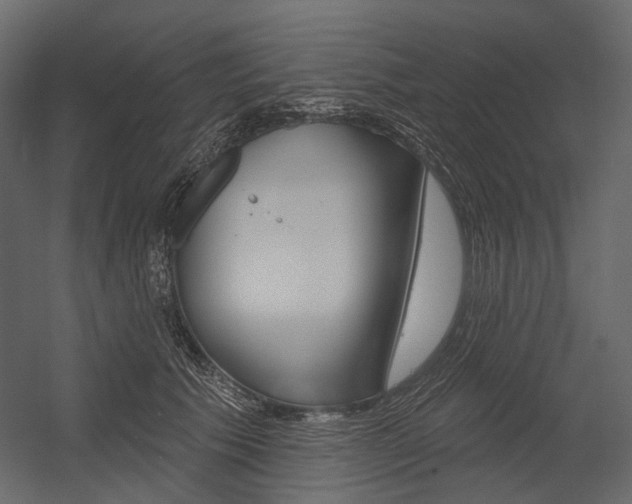 X0000054420609200507290928