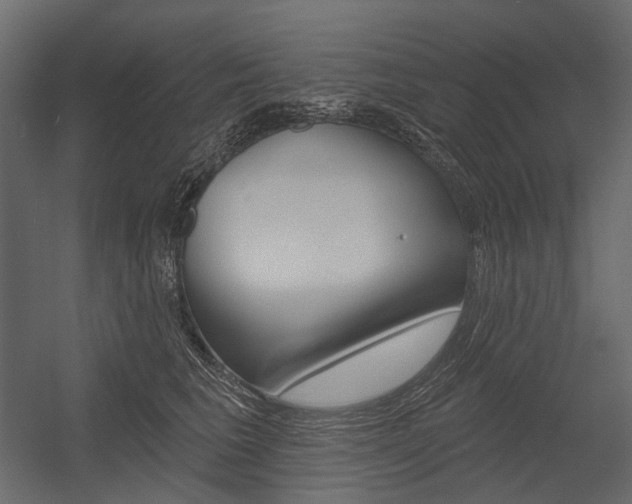 X0000054420613200507290928