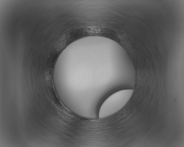 X0000054420614200507290927