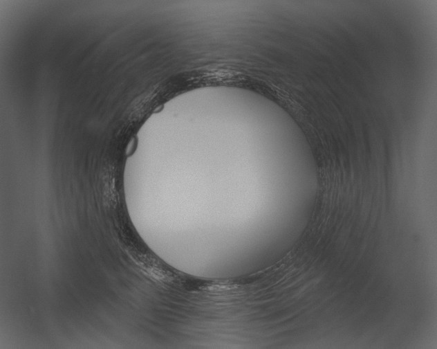 X0000054420615200507290927