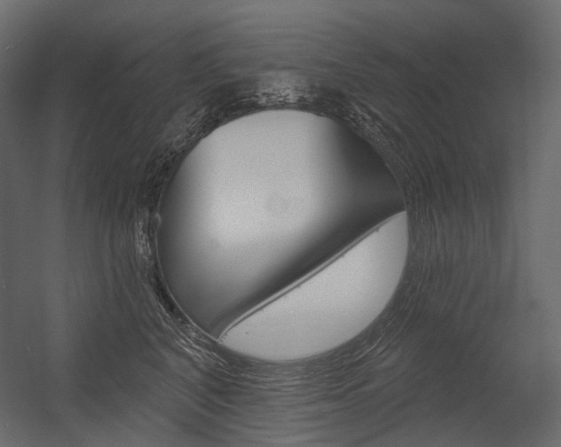 X0000054420616200507290927