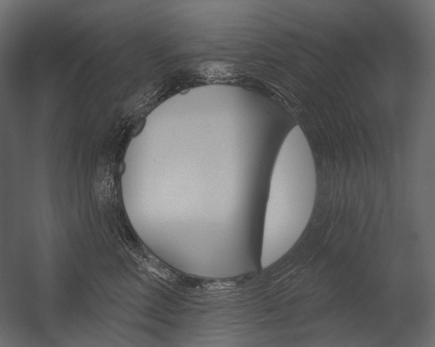 X0000054420618200507290927