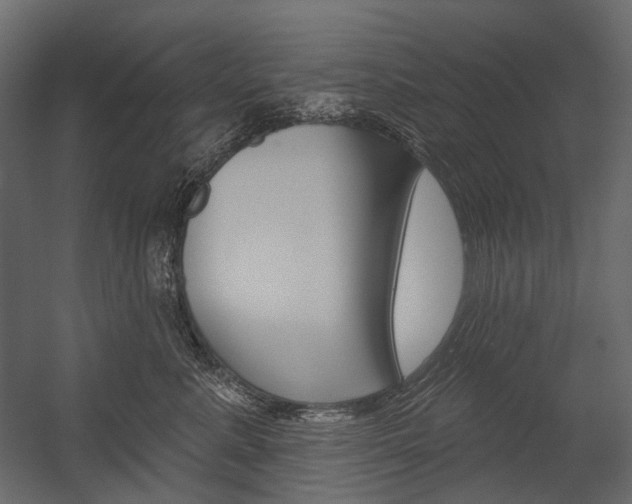 X0000054420619200507290927