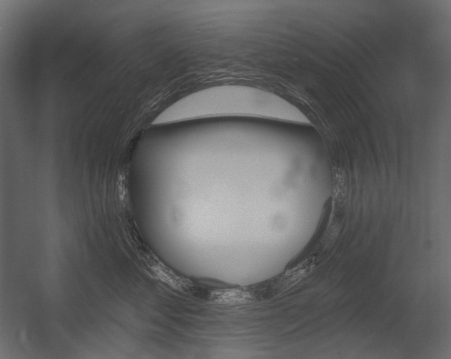 X0000054420621200507290927