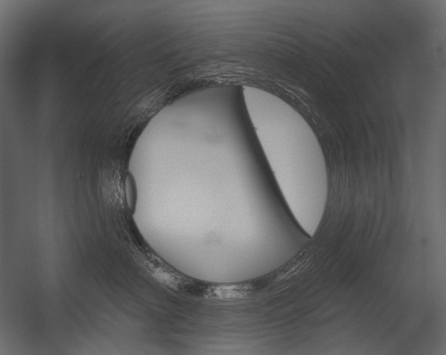 X0000054420622200507290927