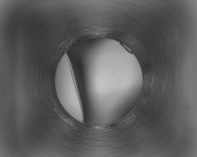 X0000054420623200507290927