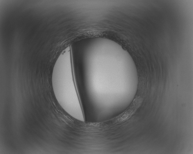 X0000054420624200507290927