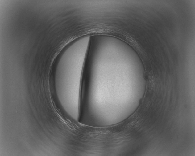 X0000054420626200507290927