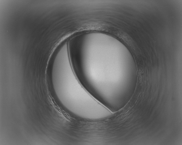 X0000054420628200507290927