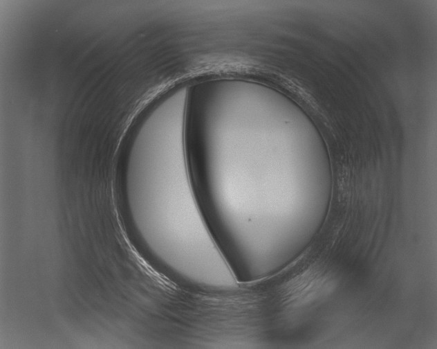 X0000054420629200507290927