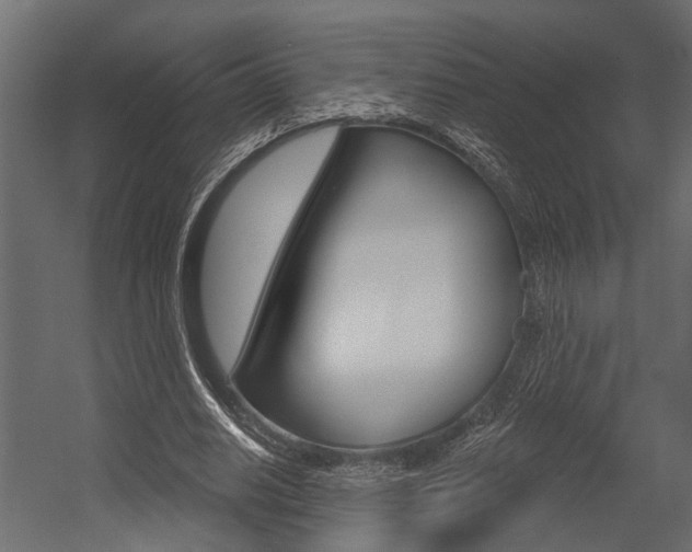 X0000054420630200507290927